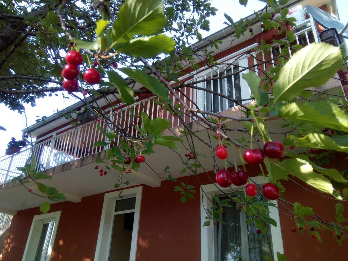 וירפזאר Apartman Vesna מראה חיצוני תמונה