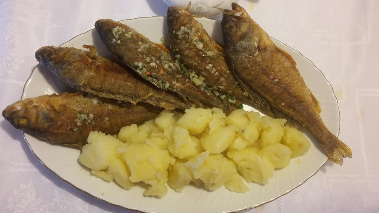 וירפזאר Apartman Vesna מראה חיצוני תמונה
